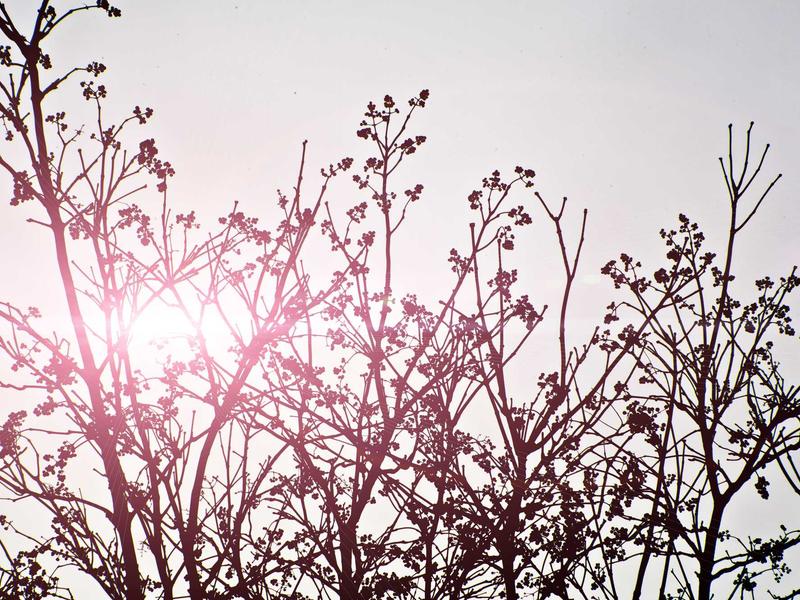 partners screenshot 4